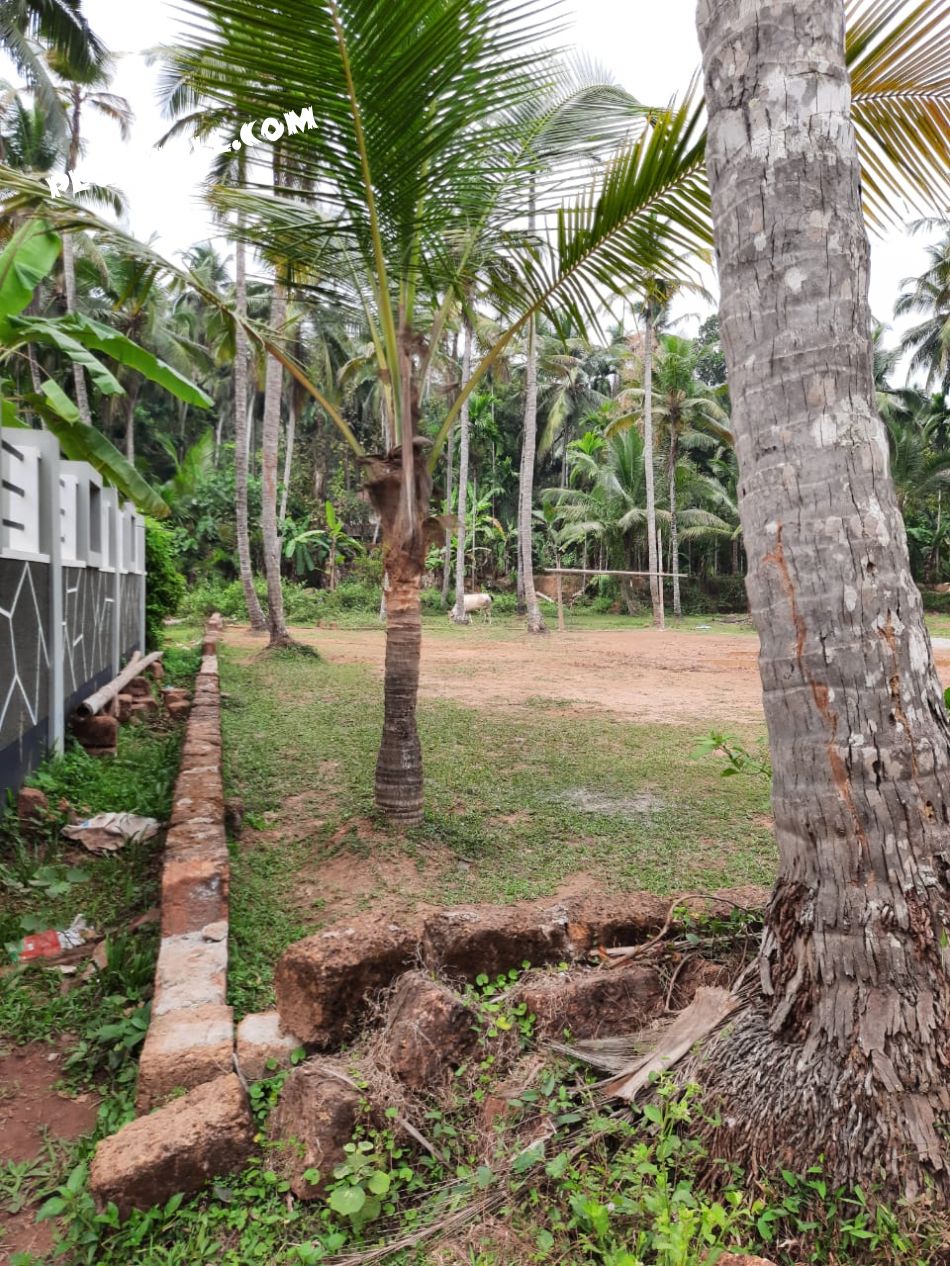 Residential Land For Sale